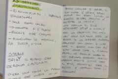 Autunno_202615